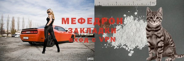 гашик Козельск
