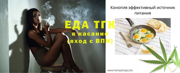 гашик Козельск