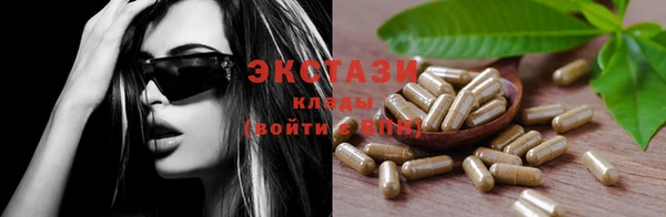 гашик Козельск
