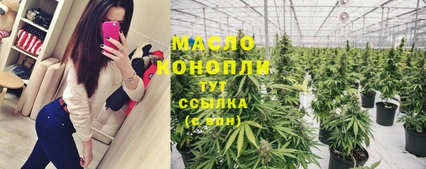 гашик Козельск